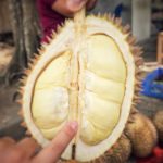 A most ripe Durian