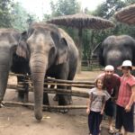 Mae Rim elephant sanctuary